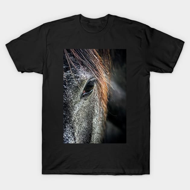 Eye Contact T-Shirt by GeoffCarpenter